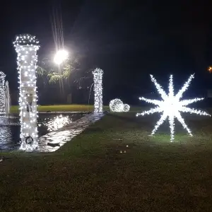 noleggio-luminarie-per-concessionaria-auto