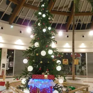 albero-a-noleggio-giganti-per-centri-commerciali