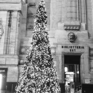 albero-di-natale-stazione-ferroviaria-di-milano-centrale-a-noleggio
