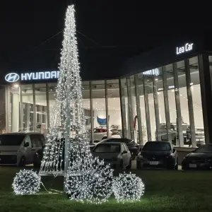 noleggio-albero-di-luci